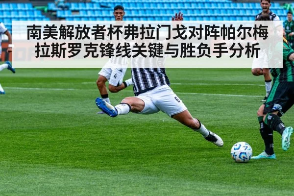 南美解放者杯弗拉门戈对阵帕尔梅拉斯罗克锋线关键与胜负手分析